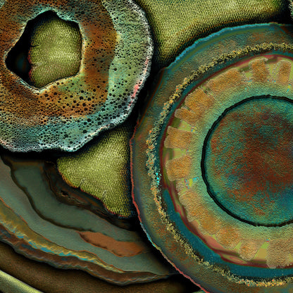 What the Earth Keeps | Print On Fine Art Canvas